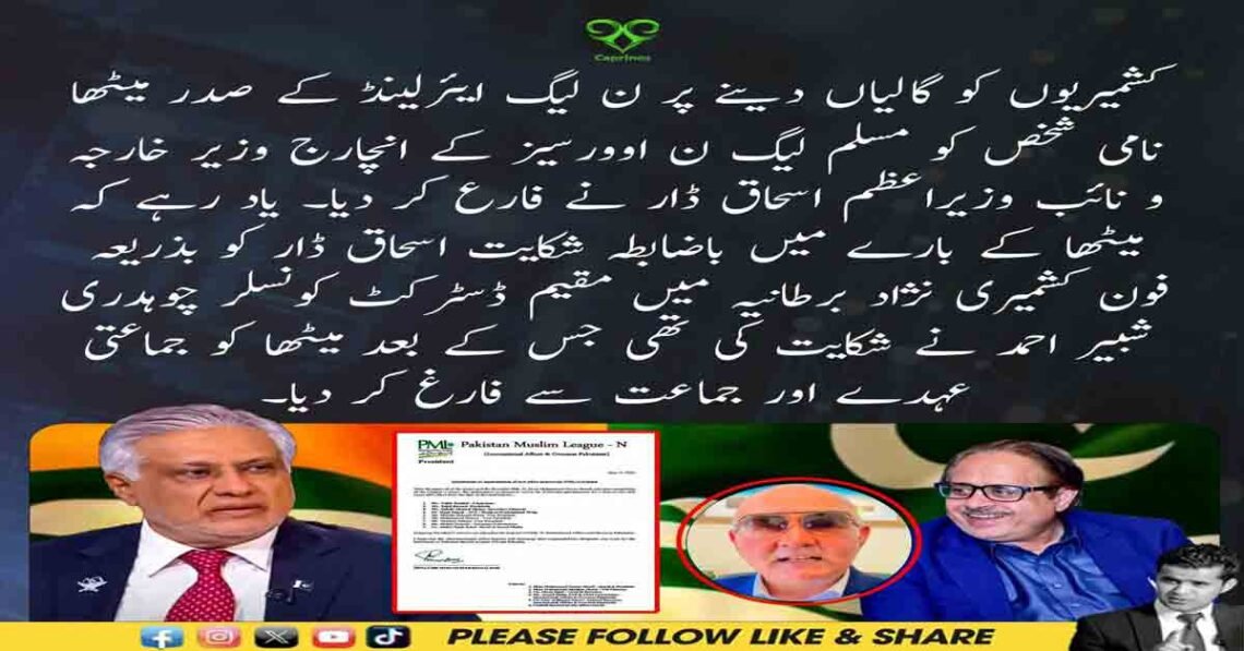 اسحاق ڈار نے کشمیریوں کو گالیاں دینے پر ن لیگ آئرلینڈ کے صدر میٹھا کو جماعت سے فارغ کر دیا۔