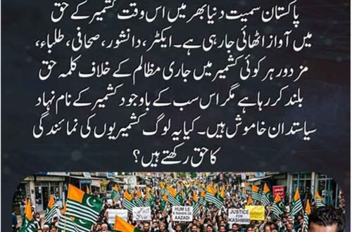 کشمیر کے حق میں عالمی سطح پر اظہارِ یکجہتی اور کشمیری سیاستدانوں کی خاموشی پر سوالات کی نمائشی تصویر۔