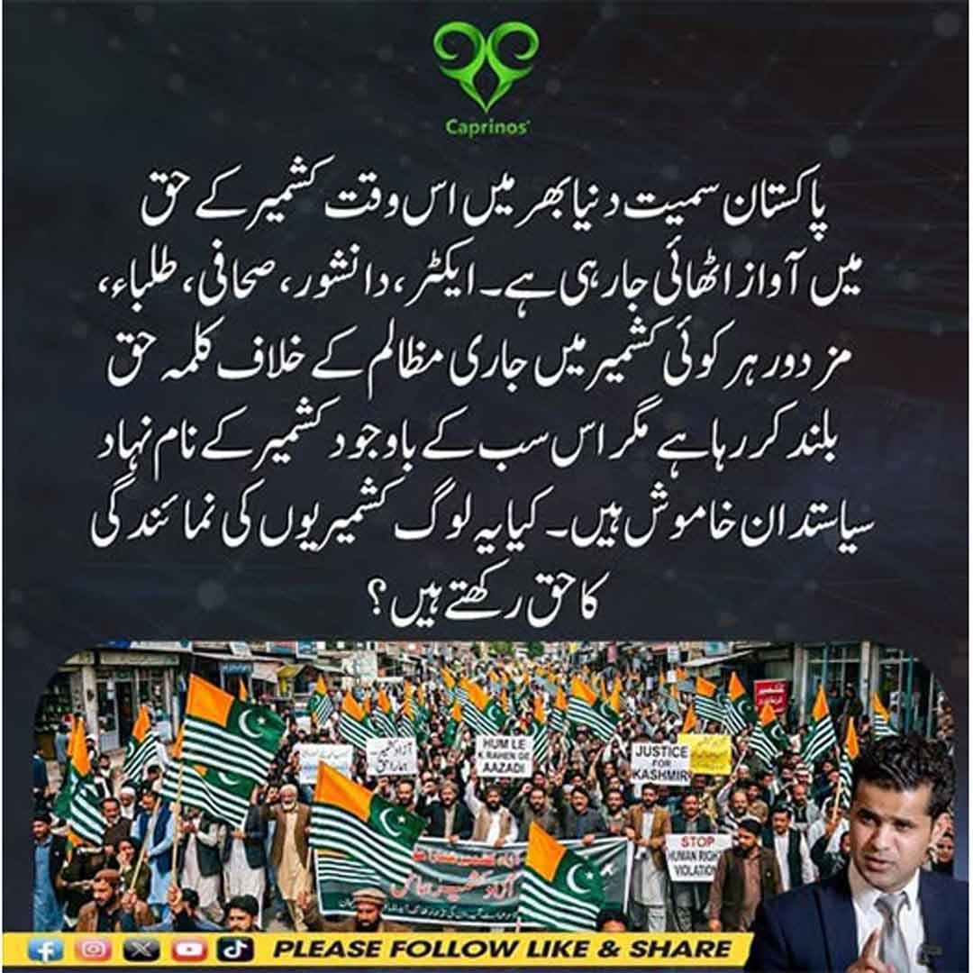 کشمیر کے حق میں عالمی سطح پر اظہارِ یکجہتی اور کشمیری سیاستدانوں کی خاموشی پر سوالات کی نمائشی تصویر۔