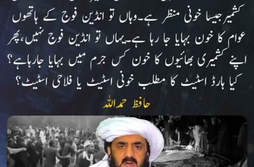 حافظ حمداللہ آزاد کشمیر کی صورتحال پر اپنا مؤقف پیش کرتے ہوئے۔
