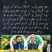 استحکام پاکستان پارٹی اور مسلم کانفرنس کے اتحاد سے متعلق سیاسی پیش رفت کی نمائشی تصویر۔