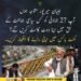 اہلیان میرپور! 27 جولائی کو آپ کس سیاسی جماعت کے حق میں ووٹ ڈالیں گے؟ اپنی رائے کمنٹ باکس میں ضرور دیں۔