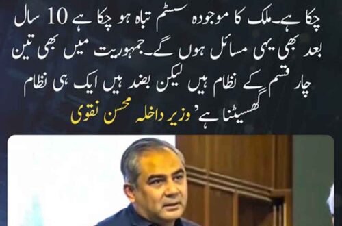 وزیر داخلہ محسن نقوی موجودہ نظام اور جمہوریت سے متعلق اپنا مؤقف پیش کرتے ہوئے۔