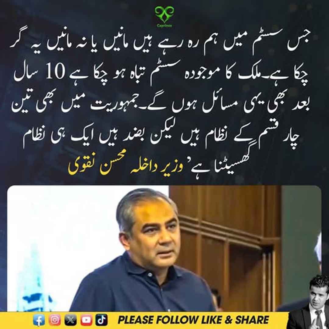 وزیر داخلہ محسن نقوی موجودہ نظام اور جمہوریت سے متعلق اپنا مؤقف پیش کرتے ہوئے۔