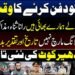 ایکشن کمیٹی، رانا ثناء اللہ، لانگ مارچ اور دھیرکوٹ کی سیاسی صورتحال۔