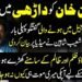 شعیب شاہین کا عمران خان کی جیل میں ہونے والی گفتگو سے متعلق بیان۔