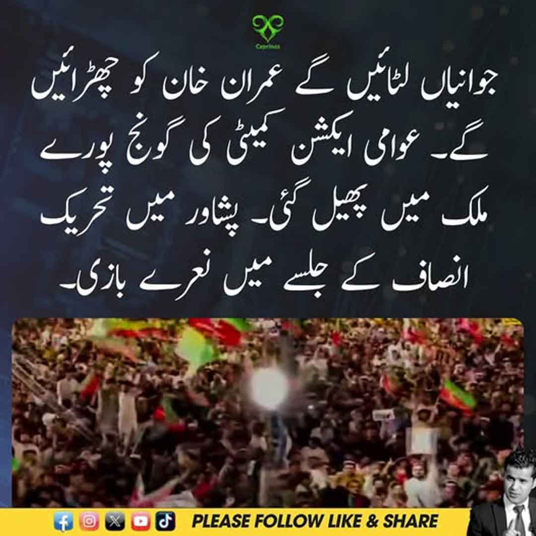 پشاور میں تحریک انصاف کے جلسے کے دوران شرکاء کی نعرے بازی کی نمائشی تصویر۔