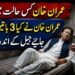شعیب شاہین کی عمران خان سے جیل میں ملاقات سے متعلق اہم انکشافات۔