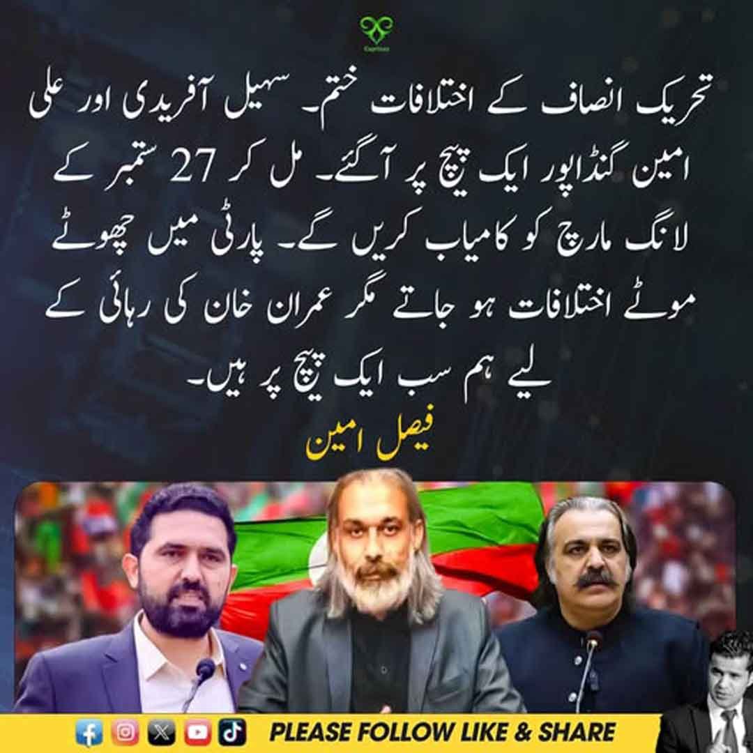 سہیل آفریدی اور علی امین گنڈاپور کے تحریک انصاف کے اختلافات ختم ہونے سے متعلق بیان۔