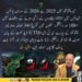 اختیار ولی کا خیبرپختونخوا پولیس اور سی ٹی ڈی سے متعلق بیان