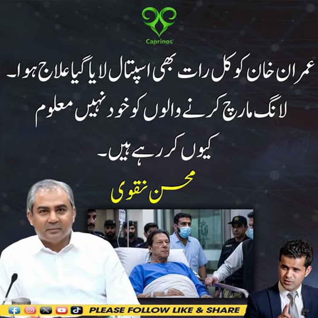 محسن نقوی کا عمران خان کے اسپتال علاج اور لانگ مارچ سے متعلق بیان