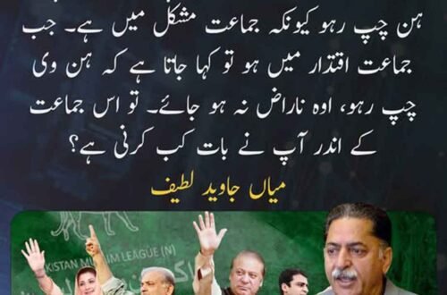 میاں جاوید لطیف کا جماعت کے اندر اظہارِ رائے سے متعلق بیان