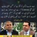 طلال چوہدری کا محسن نقوی اور جمہوریت سے متعلق بیان