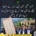 وزیر صحت ڈاکٹر مصطفیٰ بشیر عباسی کے ذاتی اسٹاف سے متعلق خواجہ کاشف میر کا بیان