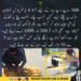 سڑک پر کھانے کی اشیا گرا کر لوگوں سے مدد لینے والا نوجوان