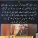 بزرگ صحافی شفیق لغاری کی تھانے سے بازیابی