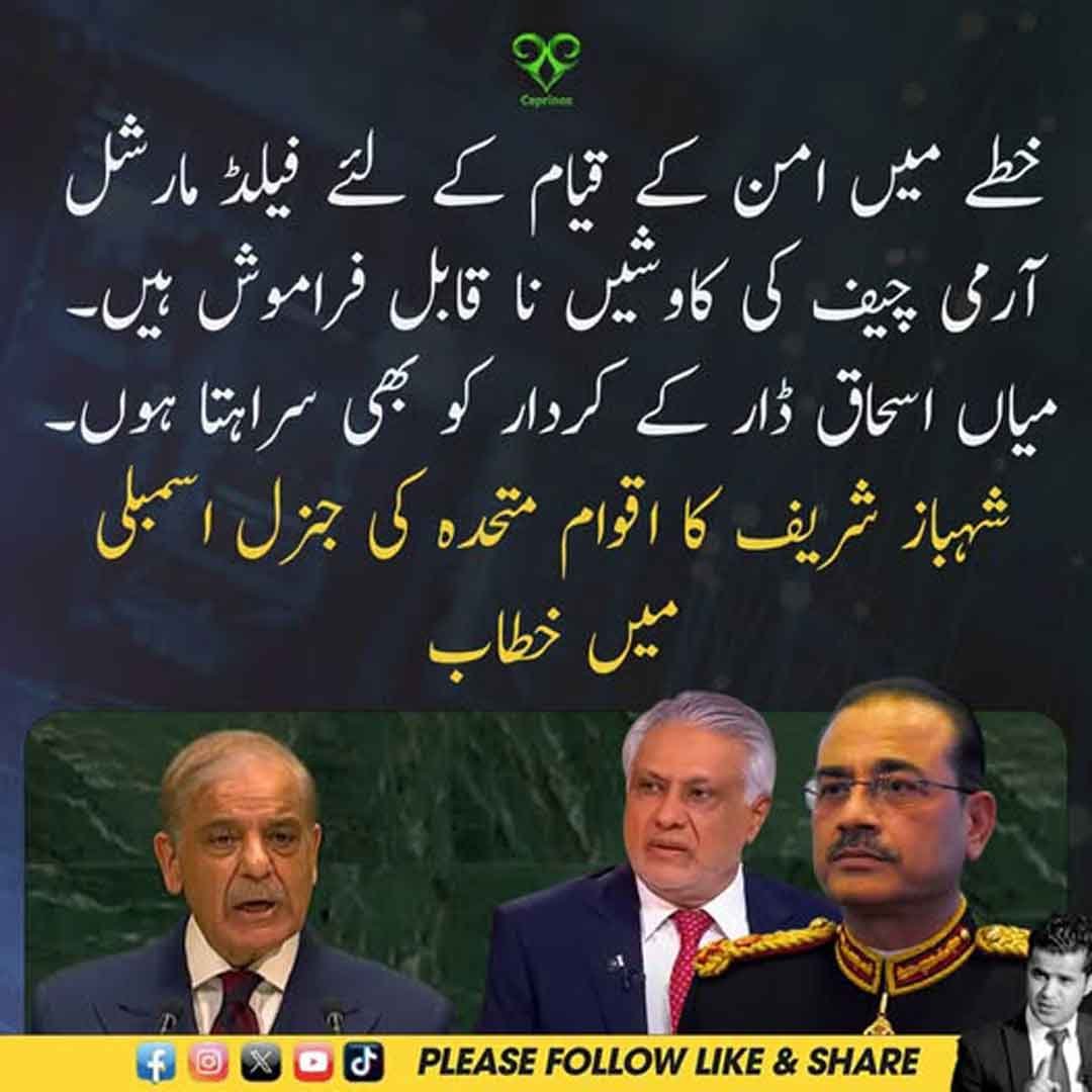 وزیراعظم شہباز شریف اقوام متحدہ کی جنرل اسمبلی سے خطاب کرتے ہوئے