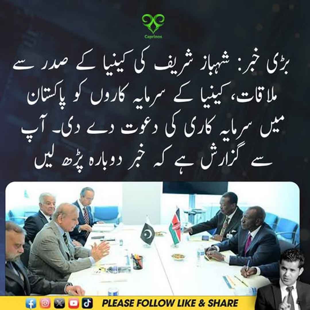 وزیراعظم شہباز شریف اور کینیا کے صدر ولیم روٹو ملاقات کرتے ہوئے