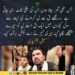 سہیل آفریدی کا بجلی کی بندش اور قاتل سے متعلق بیان