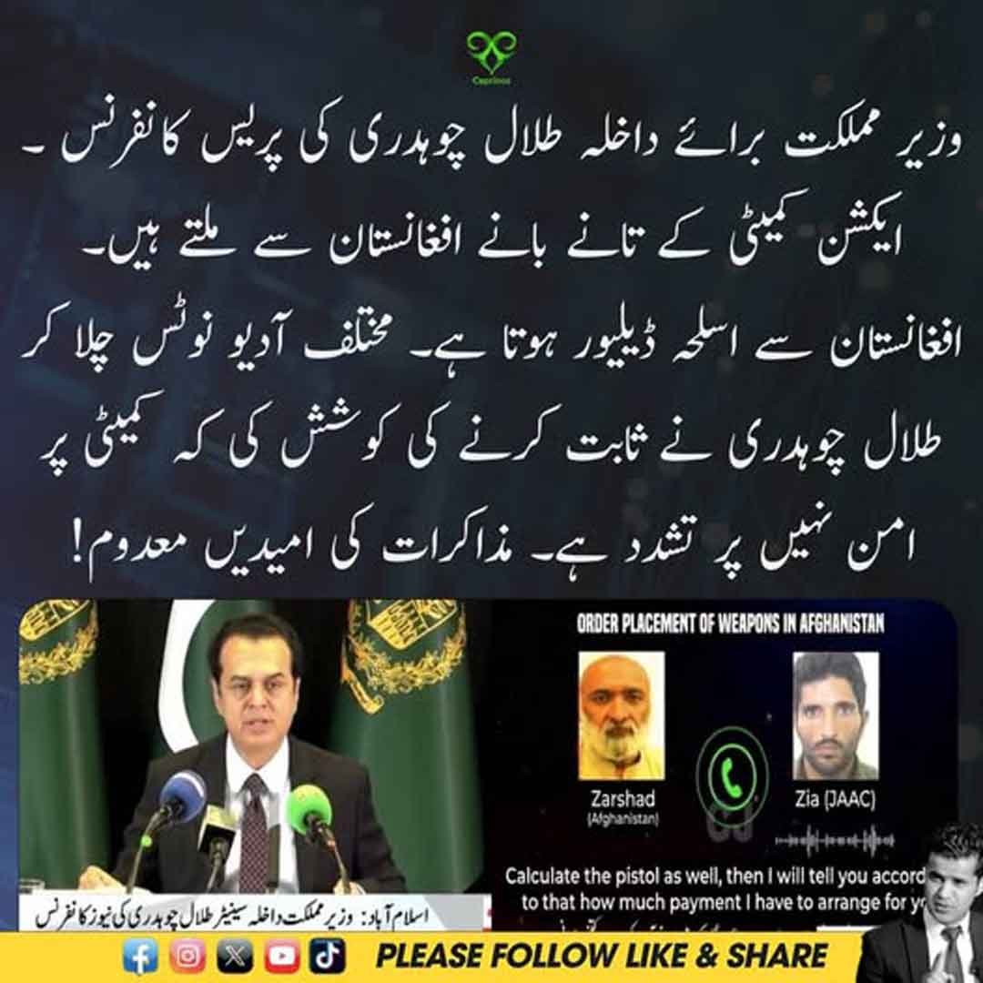 طلال چوہدری کا ایکشن کمیٹی اور افغانستان سے متعلق بیان