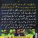 عامر سہیل پاکستان اور انگلینڈ کے میچ میں عشا کی اذان کے احترام میں کمنٹری روکتے ہوئے