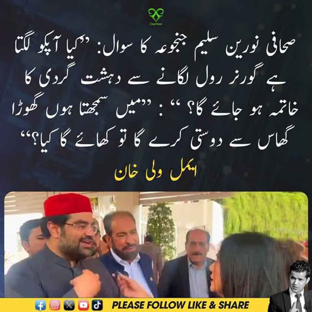 ایمل ولی خان کا گورنر راج اور دہشت گردی سے متعلق سوال پر جواب