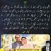 کیپٹن صفدر کا مریم نواز کی تعریف اور وزیراعظم بننے سے متعلق بیان