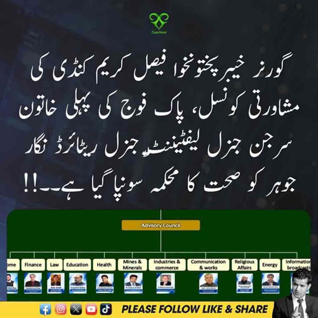 فیصل کریم کنڈی کی مشاورتی کونسل اور نگار جوہر کو صحت کا محکمہ سونپنے سے متعلق خبر