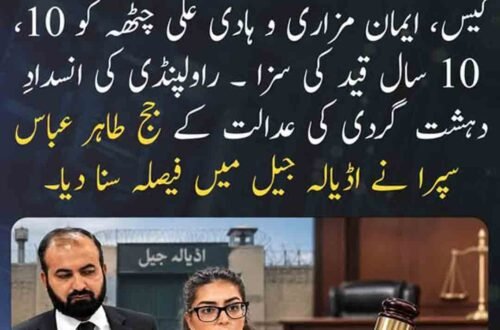 ایمان مزاری اور ہادی علی چٹھہ کو قید کی سزا سنائے جانے سے متعلق خبر