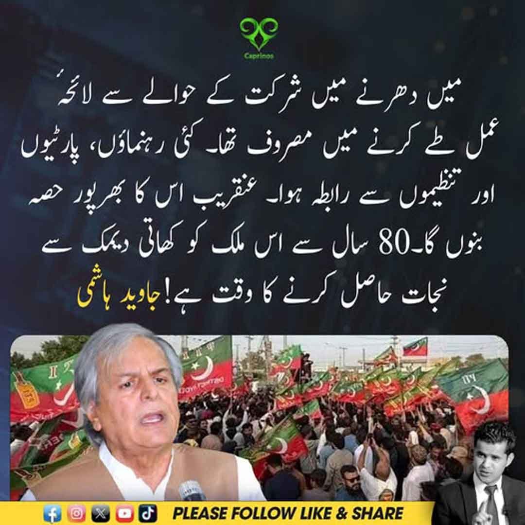 جاوید ہاشمی کا دھرنے میں شرکت اور ملکی نظام سے متعلق بیان