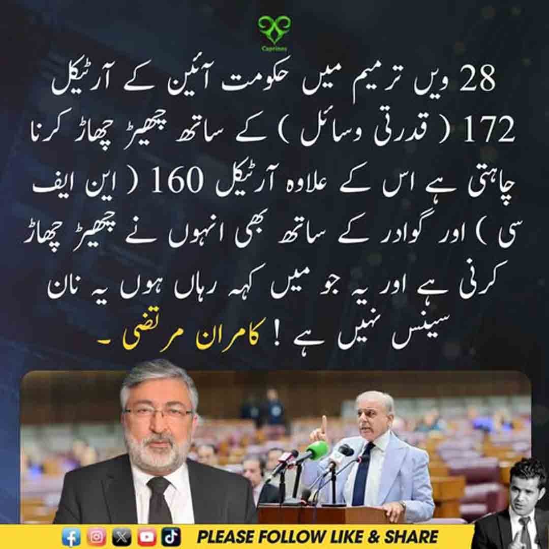کامران مرتضیٰ کا اٹھائیسویں آئینی ترمیم، قدرتی وسائل، این ایف سی اور گوادر سے متعلق بیان