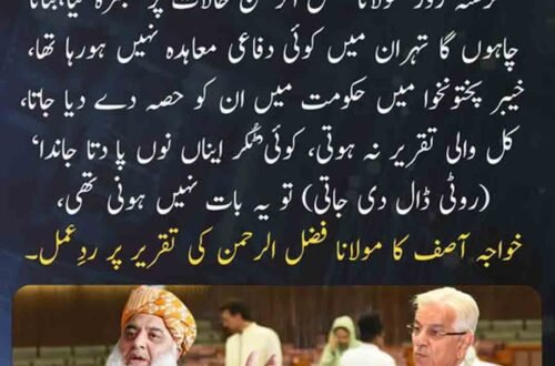 خواجہ آصف کا مولانا فضل الرحمان کی تقریر پر ردِعمل