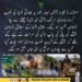 مہنڈلہ ہجیرہ میں مبینہ بارودی سرنگ کے دھماکے سے چار نوجوانوں کی ہلاکت کا واقعہ