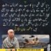 محمود خان اچکزئی کا دہشت گردی اور پاک افغان سرحدی سکیورٹی سے متعلق بیان