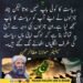 سینیٹر مولانا عطاالرحمن کا ریاستی معاملات اور جنرلوں سے متعلق بیان
