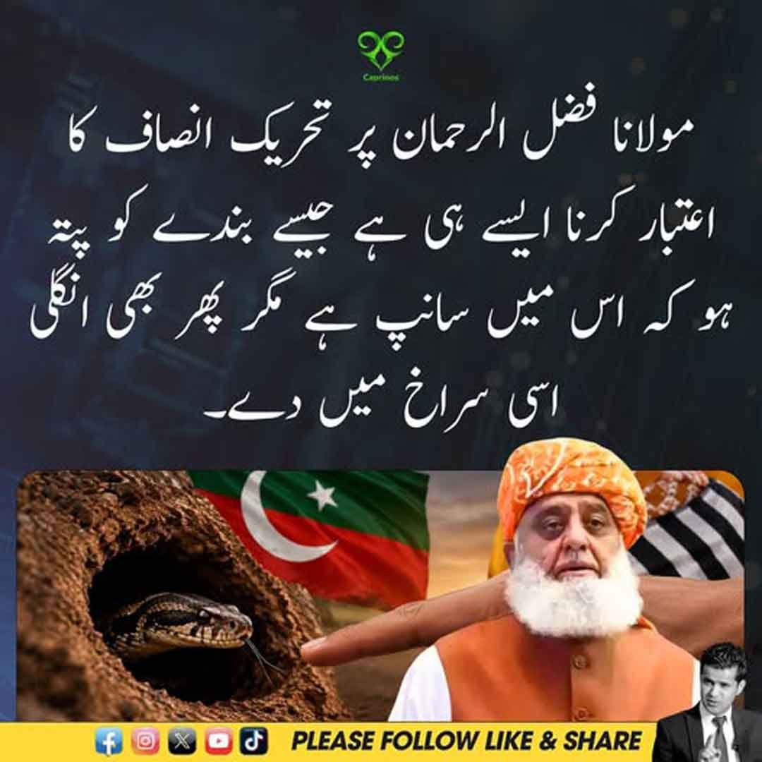 مولانا فضل الرحمان پر تحریک انصاف کے اعتماد سے متعلق طنزیہ سیاسی بیان