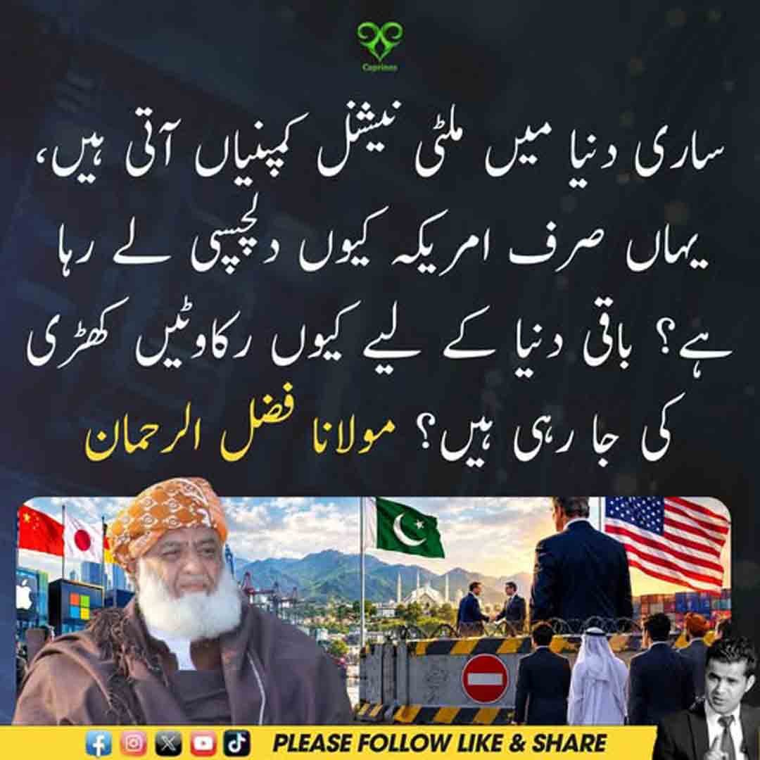 مولانا فضل الرحمان کا امریکی دلچسپی اور ملٹی نیشنل کمپنیوں سے متعلق بیان