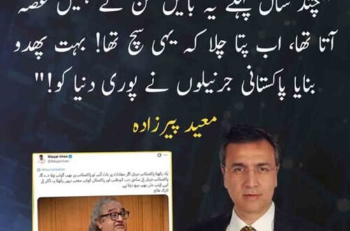 معید پیرزادہ کا پاکستانی جرنیلوں سے متعلق تنقیدی بیان