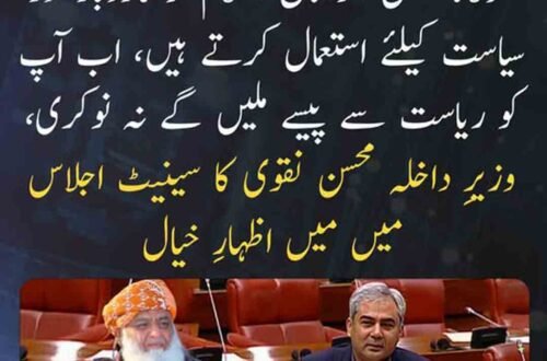 سینیٹ اجلاس میں اظہار خیال کرتے ہوئے وزیر داخلہ محسن نقوی