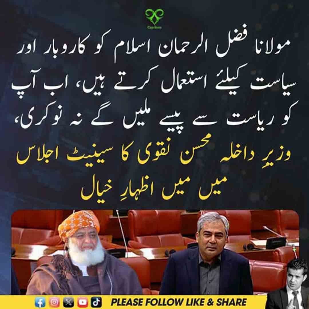 سینیٹ اجلاس میں اظہار خیال کرتے ہوئے وزیر داخلہ محسن نقوی