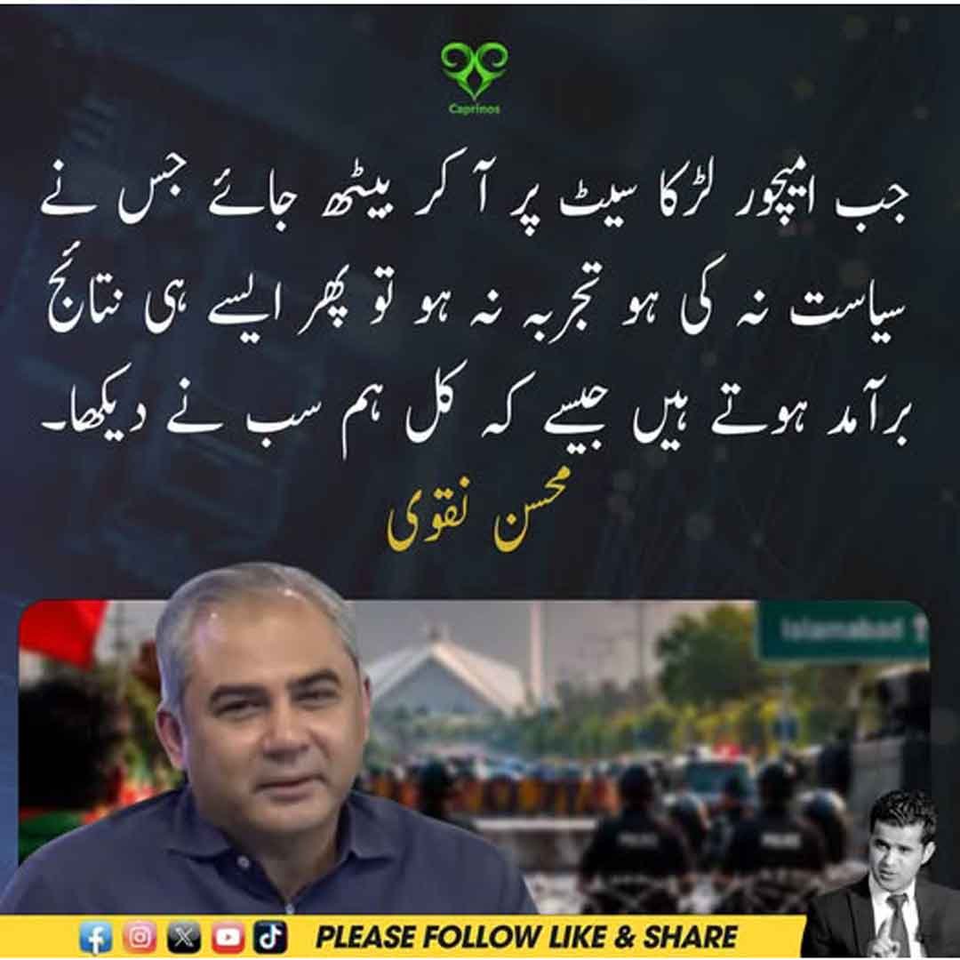 محسن نقوی سیاسی تجربے سے متعلق بیان دیتے ہوئے
