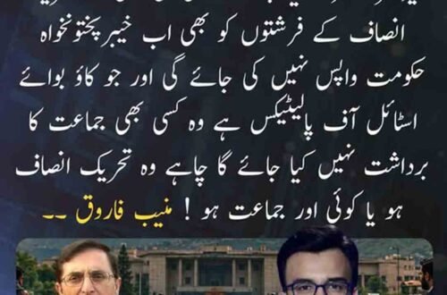 منیب فاروق کا تحریک انصاف اور خیبرپختونخوا حکومت سے متعلق بیان