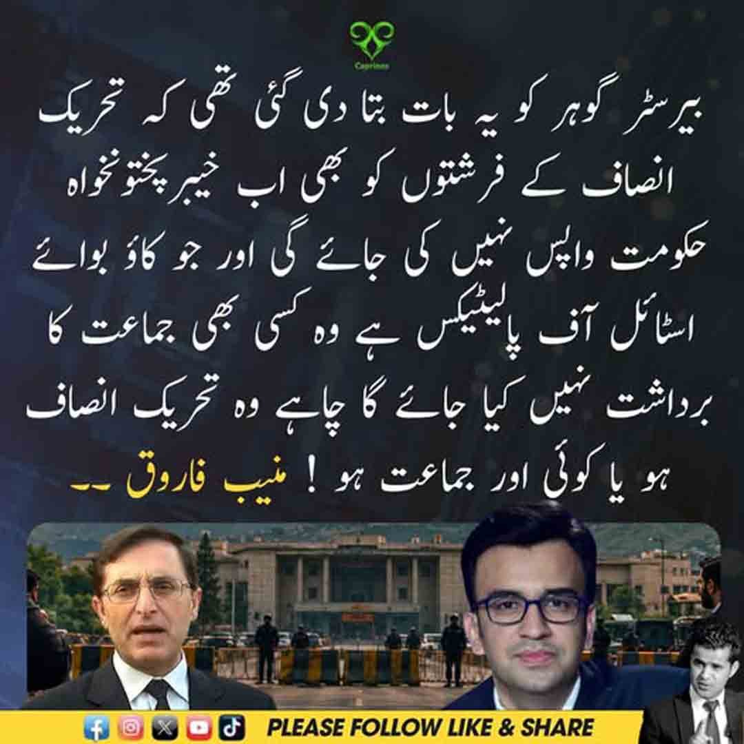 منیب فاروق کا تحریک انصاف اور خیبرپختونخوا حکومت سے متعلق بیان