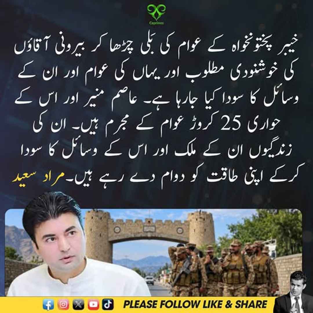 مراد سعید کا عاصم منیر اور عوامی وسائل سے متعلق بیان