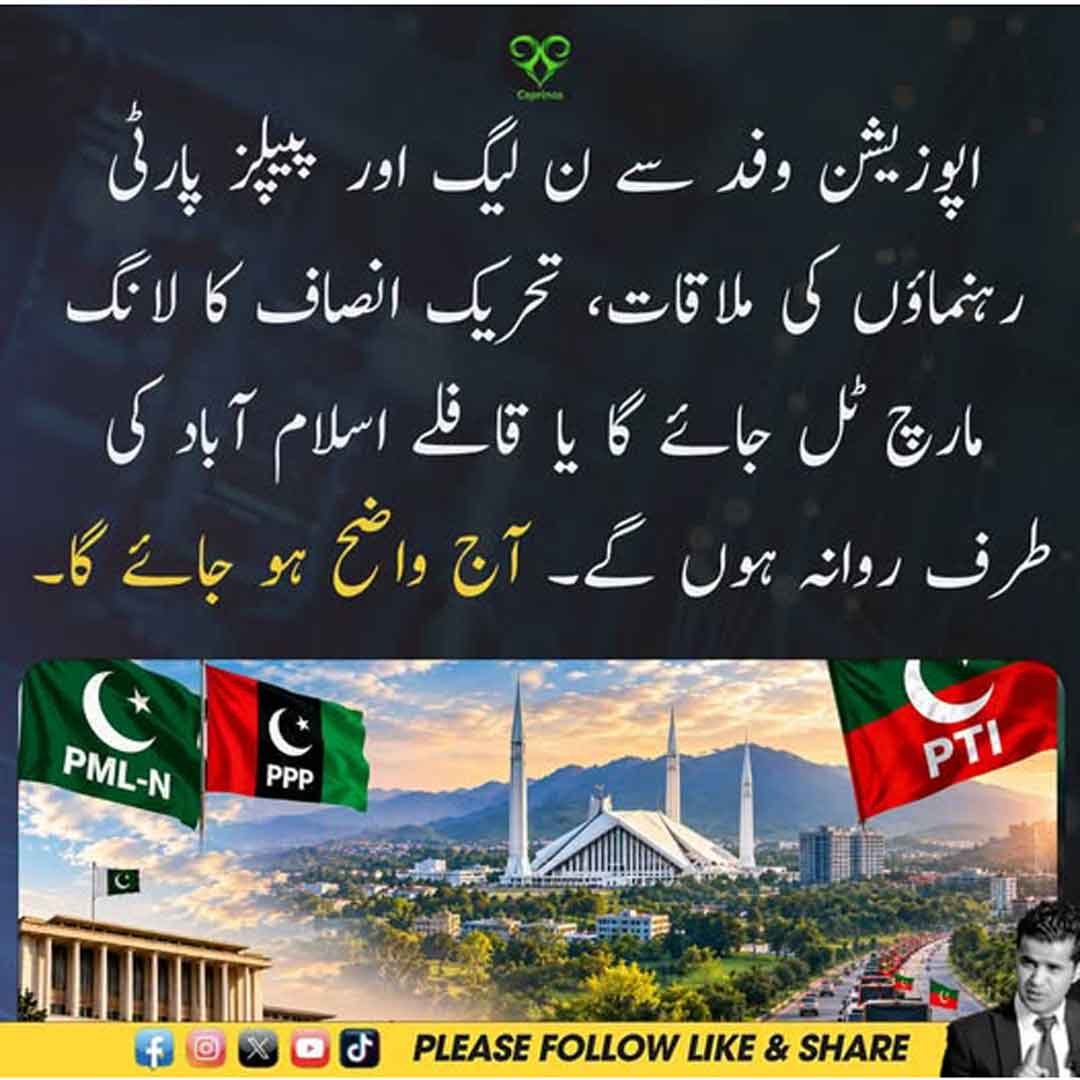 اپوزیشن وفد کی ن لیگ اور پیپلز پارٹی رہنماؤں سے ملاقات