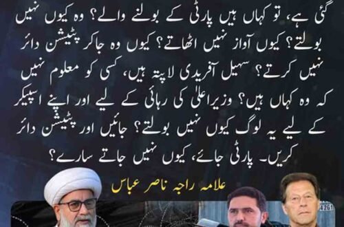 علامہ راجہ ناصر عباس کا پی ٹی آئی قیادت اور سہیل آفریدی سے متعلق بیان