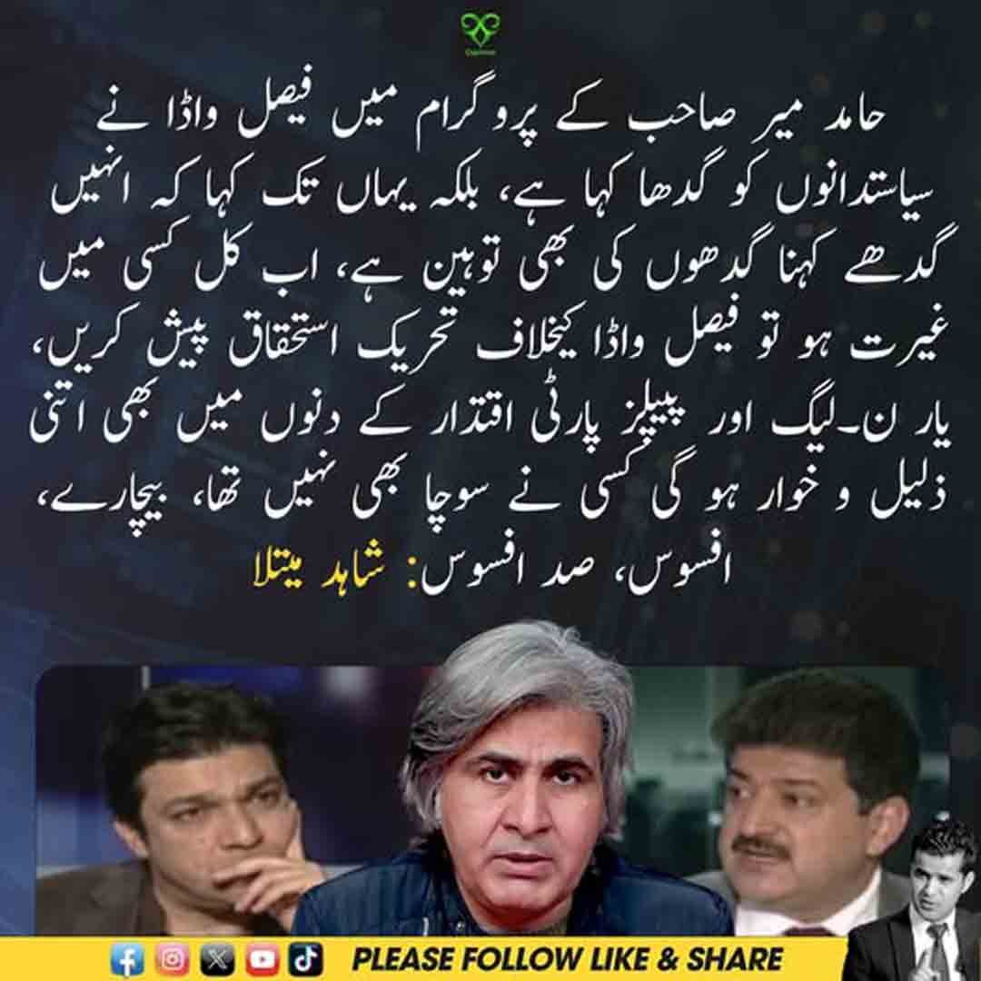 شاہد میتلا کا فیصل واوڈا کے سیاستدانوں سے متعلق بیان پر ردعمل