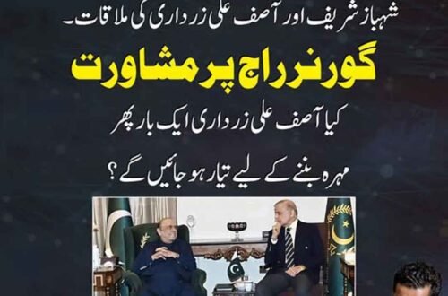 شہباز شریف اور آصف علی زرداری کی ملاقات اور گورنر راج پر مشاورت