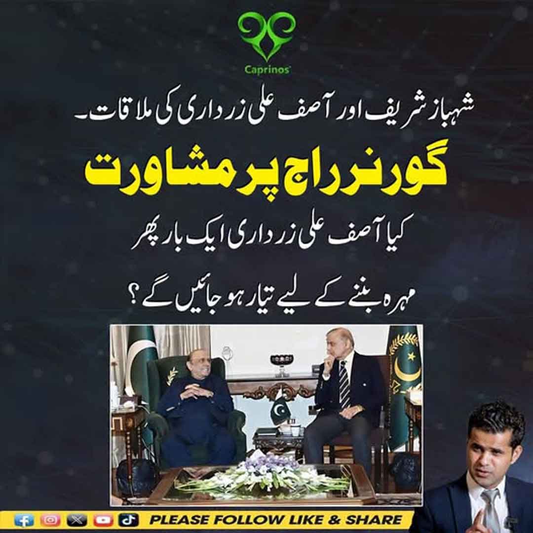 شہباز شریف اور آصف علی زرداری کی ملاقات اور گورنر راج پر مشاورت