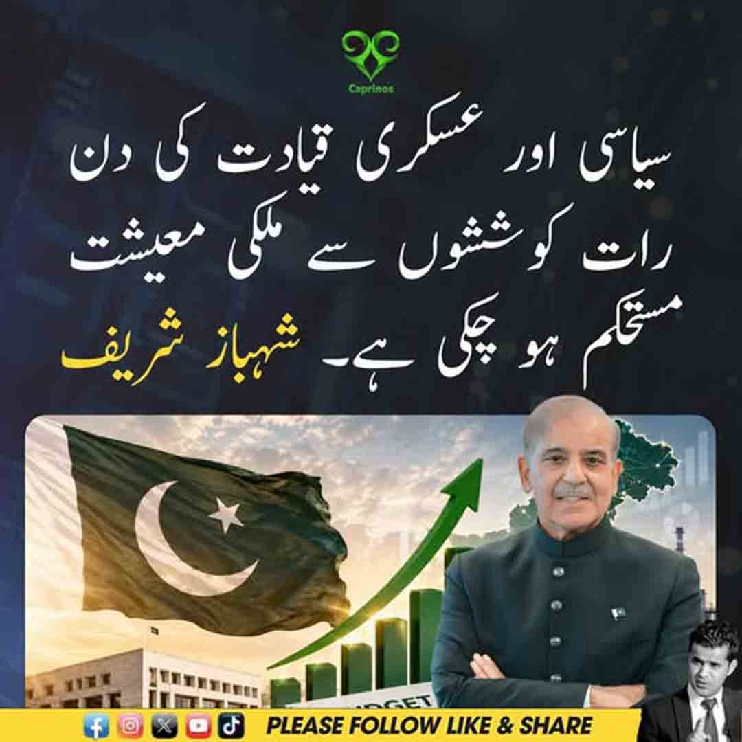 شہباز شریف کا سیاسی اور عسکری قیادت کی کوششوں اور ملکی معیشت پر بیان